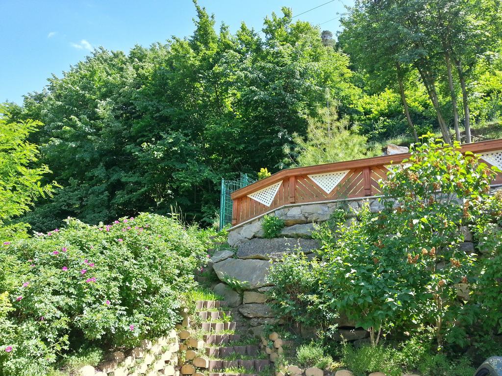 Bed and Breakfast Gastehaus Zur Schonen Aussicht Spitz an der Donau Exterior foto